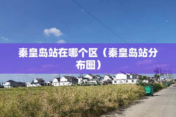 秦皇岛站在哪个区（秦皇岛站分布图）