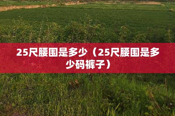 25尺腰围是多少（25尺腰围是多少码裤子）