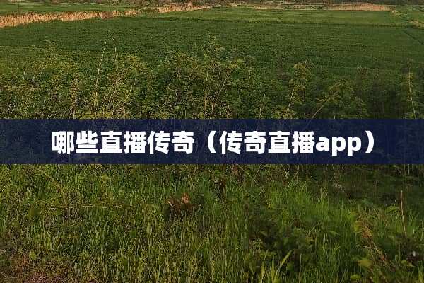 哪些直播传奇（传奇直播app）