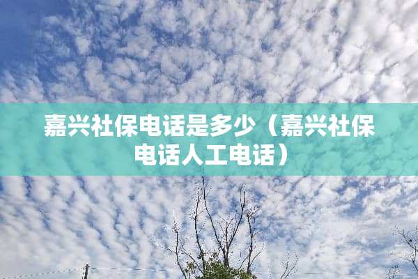 嘉兴社保电话是多少（嘉兴社保电话人工电话）