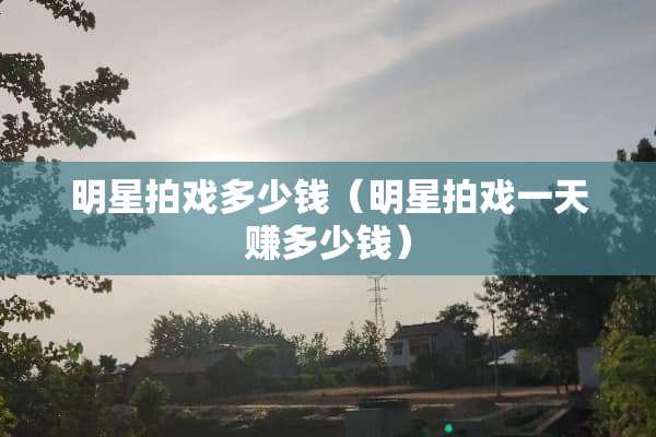 明星拍戏多少钱（明星拍戏一天赚多少钱）