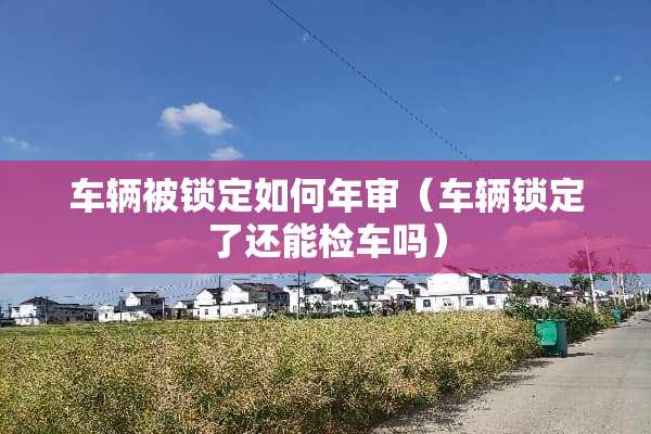 车辆被锁定如何年审（车辆锁定了还能检车吗）