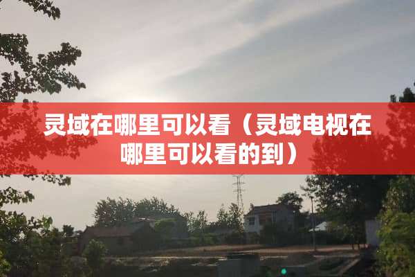 灵域在哪里可以看（灵域电视在哪里可以看的到）