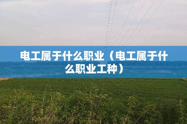 电工属于什么职业（电工属于什么职业工种）