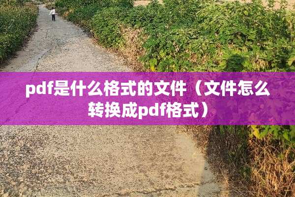 pdf是什么格式的文件（文件怎么转换成pdf格式）
