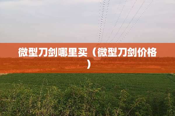 微型刀剑哪里买（微型刀剑价格）