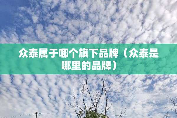 众泰属于哪个旗下品牌（众泰是哪里的品牌）