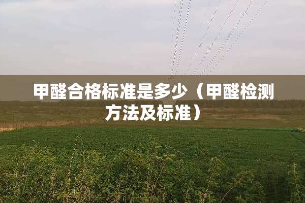 甲醛合格标准是多少（甲醛检测方法及标准）