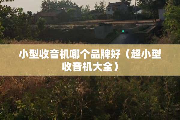 小型收音机哪个品牌好（超小型收音机大全）