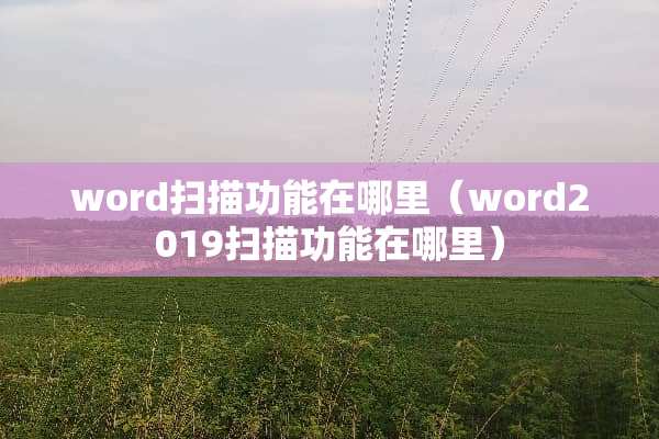 word扫描功能在哪里（word2019扫描功能在哪里）