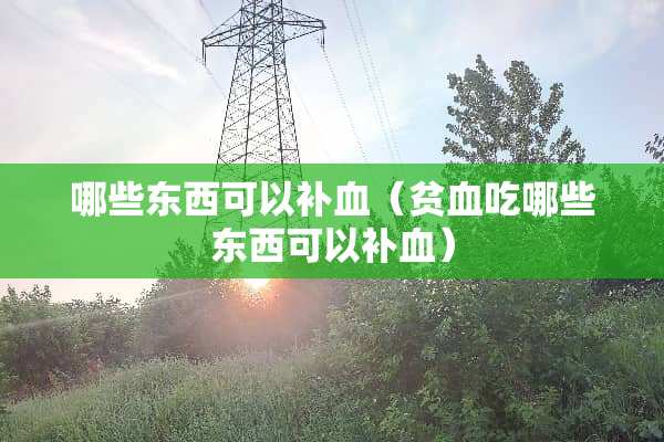 哪些东西可以补血（贫血吃哪些东西可以补血）
