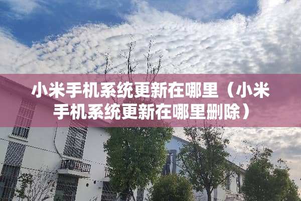 小米手机系统更新在哪里（小米手机系统更新在哪里删除）