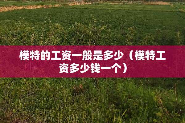 模特的工资一般是多少（模***多少钱一个）