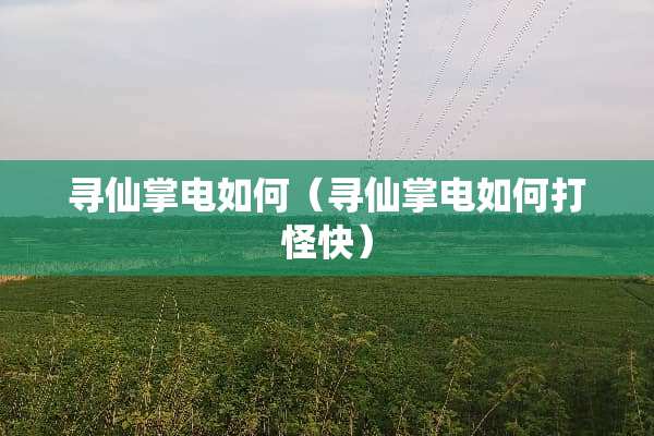 寻仙掌电如何（寻仙掌电如何打怪快）