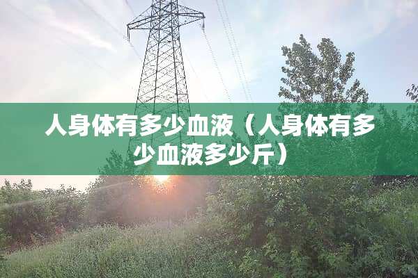 人身体有多少血液（人身体有多少血液多少斤）