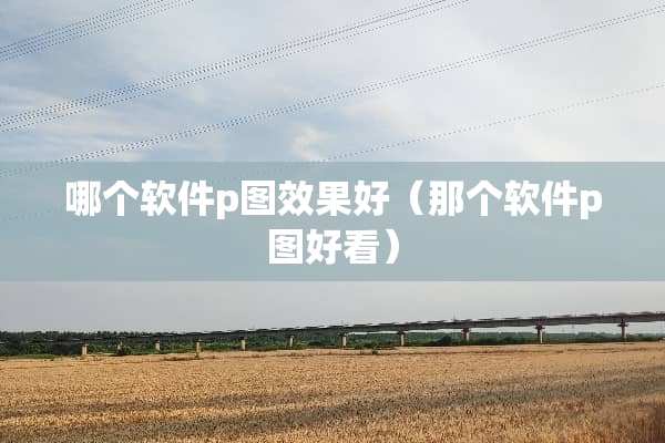 哪个软件p图效果好（那个软件p图好看）