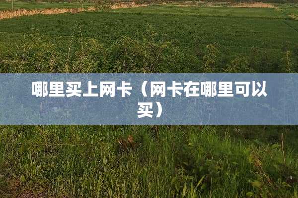 哪里买上网卡（网卡在哪里可以买）