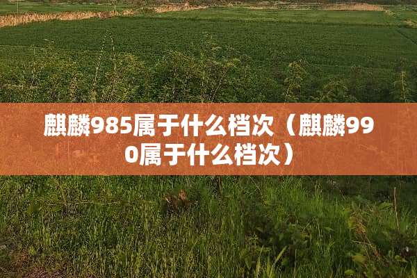 麒麟985属于什么档次（麒麟990属于什么档次）