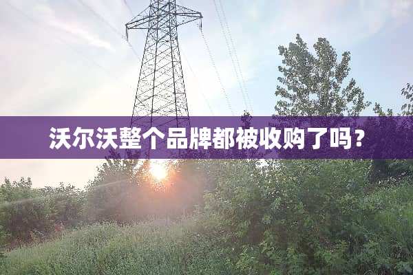 沃尔沃整个品牌都被收购了吗？
