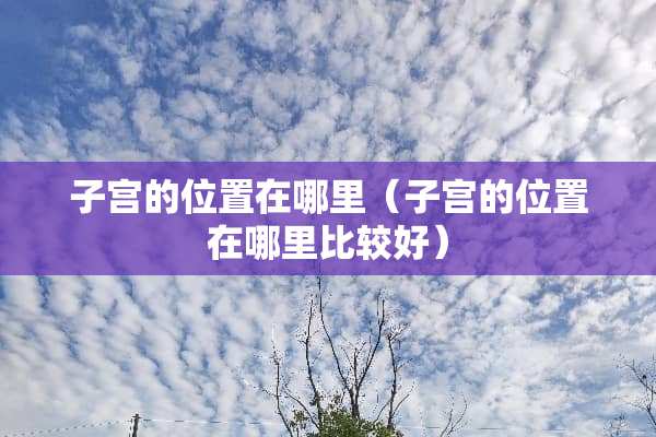 子宫的位置在哪里（子宫的位置在哪里比较好）