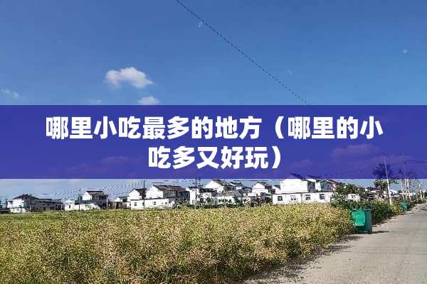 哪里小吃最多的地方（哪里的小吃多又好玩）