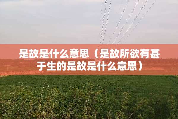 是故是什么意思（是故所欲有甚于生的是故是什么意思）