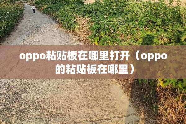 oppo粘贴板在哪里打开（oppo 的粘贴板在哪里）