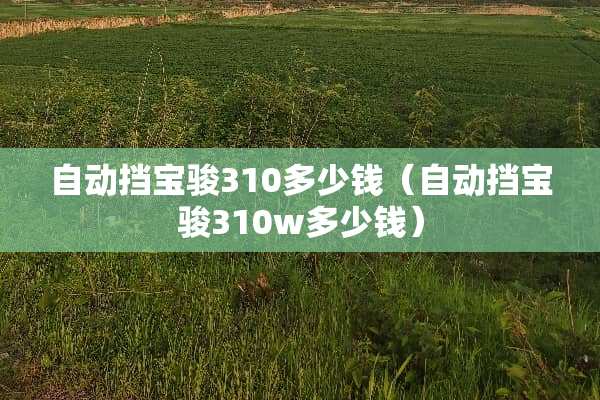 自动挡宝骏310多少钱（自动挡宝骏310w多少钱）