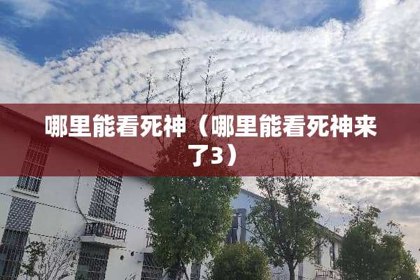 哪里能看死神（哪里能看死神来了3）