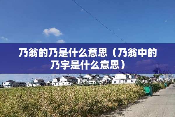 乃翁的乃是什么意思（乃翁中的乃字是什么意思）