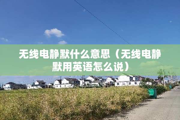 无线电静默什么意思（无线电静默用英语怎么说）