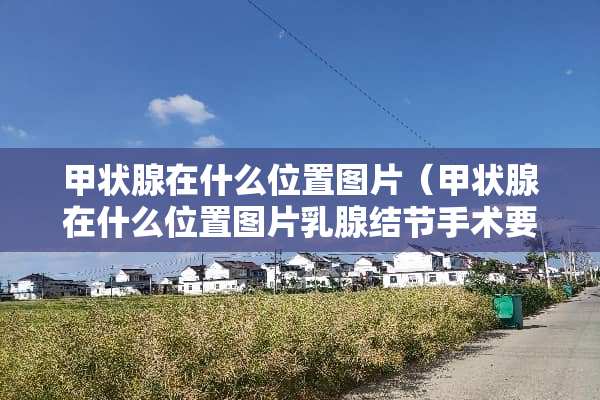 甲状腺在什么位置图片（甲状腺在什么位置图片*腺结节手术要住院几天）