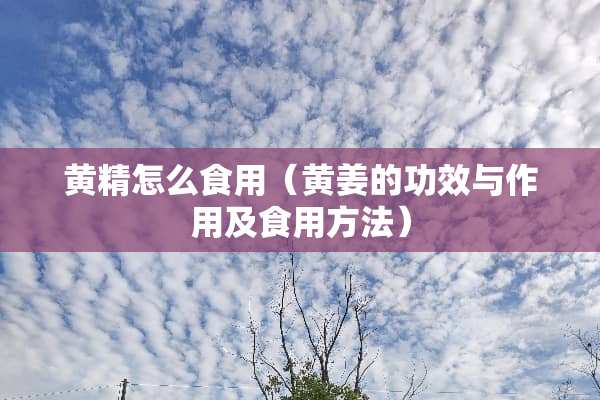 黄精怎么食用（黄姜的功效与作用及食用方法）
