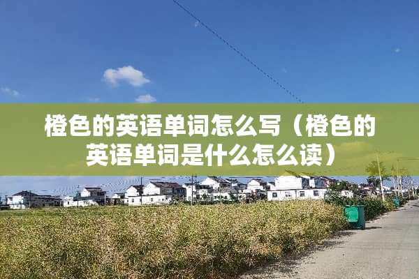 橙色的英语单词怎么写（橙色的英语单词是什么怎么读）