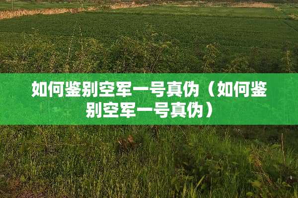 如何鉴别空军一号真伪（如何鉴别空军一号真伪）