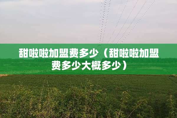 甜啦啦加盟费多少（甜啦啦加盟费多少大概多少）