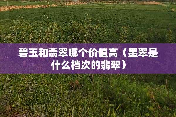 碧玉和翡翠哪个价值高（墨翠是什么档次的翡翠）