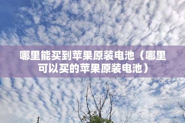 哪里能买到苹果原装电池（哪里可以买的苹果原装电池）