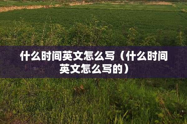 什么时间英文怎么写（什么时间英文怎么写的）