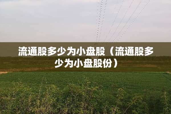 流通股多少为小盘股（流通股多少为小盘股份）
