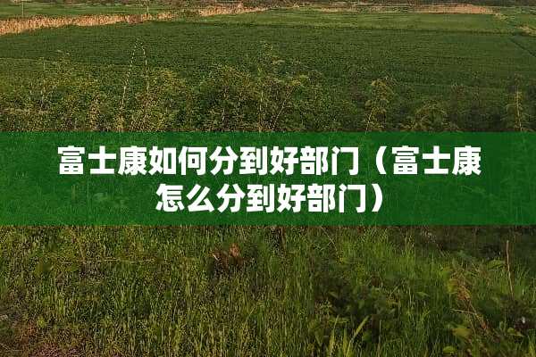 富士康如何分到好部门（富士康怎么分到好部门）
