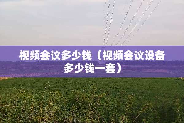 视频会议多少钱（视频会议设备多少钱一套）