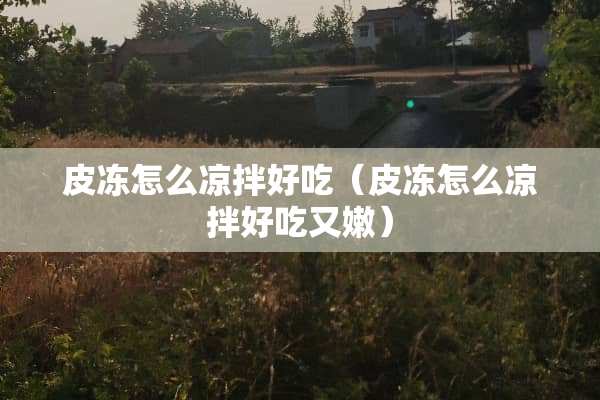 皮冻怎么凉拌好吃（皮冻怎么凉拌好吃又嫩）