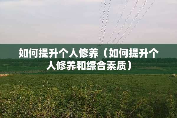 如何提升个人修养（如何提升个人修养和综合素质）