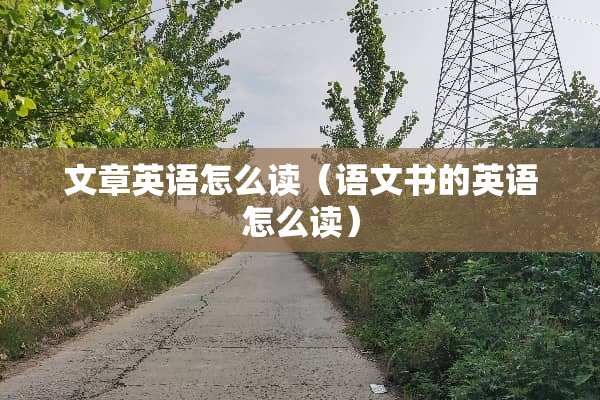 文章英语怎么读（语文书的英语怎么读）