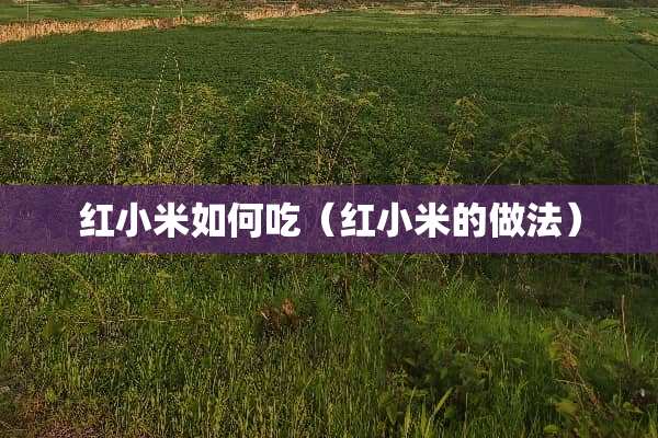 红小米如何吃（红小米的做法）