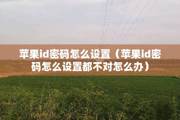苹果id密码怎么设置（苹果id密码怎么设置都不对怎么办）