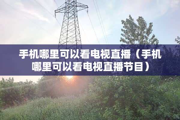 手机哪里可以看电视直播（手机哪里可以看电视直播节目）