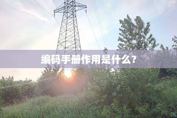 编码手册作用是什么？