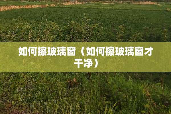 如何擦玻璃窗（如何擦玻璃窗才干净）